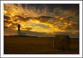 Picture Title - Straw Bale and a Lighthouse