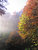 after fog ... colours