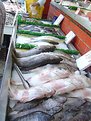 Picture Title - CHINATOWN FISH STORE