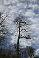 Picture Title - ...........