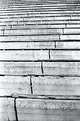 Picture Title - ...absence...