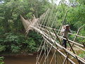 Picture Title - Bamboo Bridge