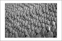 Picture Title - Thousand of Budda's