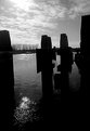 Picture Title - composition