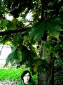Picture Title - under trees