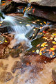 Picture Title - Fall Water Scene