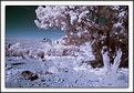 Picture Title - Sedona in IR