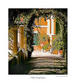 Picture Title - Villa Caprese