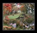 Picture Title - autumn woodland