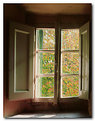 Picture Title - la finestra sull'autunno
