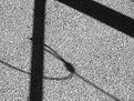 Picture Title - tied-up shadow