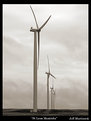 Picture Title - "Wind Farm"