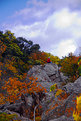 Picture Title - Changing Seasons
