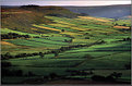 Picture Title - Rosedale