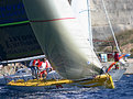 Picture Title - Sailing is...