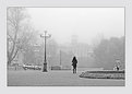 Picture Title - Foggy morning