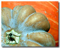 Picture Title - Pumpkins