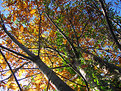 Picture Title - Colori d'autunno