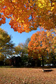 Picture Title - Fall in Connecticut