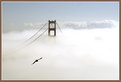 Picture Title - San Francisco