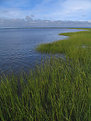 Picture Title - St. Simon's Island Marsh