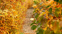 Picture Title - Hidden Stairway