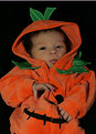 Picture Title - Precious Pumpkin