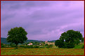 Picture Title - Tuscany 6