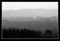 Picture Title -      ...Layers of Grey...