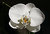 White Orchid