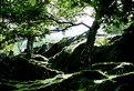 Picture Title - Snowdonia.