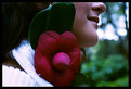 Picture Title - romantic flower