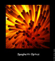 Picture Title - Spaghetti Optics