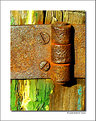 Picture Title - Hinge