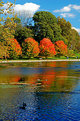 Picture Title - A Day at the Lake