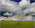 Picture Title - northumbrain skys