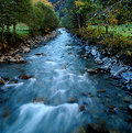 Picture Title - Swiss Stream
