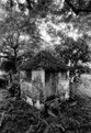 Picture Title - Negril Hut.