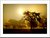 morning | glory -