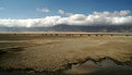 Picture Title - Ngorongoro panorama 2