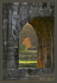 Picture Title - Underneath the Arches