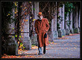 Picture Title - Autumn walk