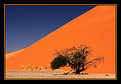 Picture Title - Sossusvlei -85