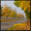 Picture Title - autumn IV