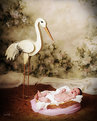 Picture Title - Stork Delivery