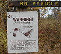 Picture Title - Sharptail Grouse Sign