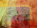 Picture Title - Autumn Leaves