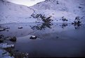 Picture Title - frosty pond