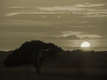 Picture Title - African sunset