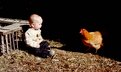 Picture Title - Conversations with  Little Red Hen